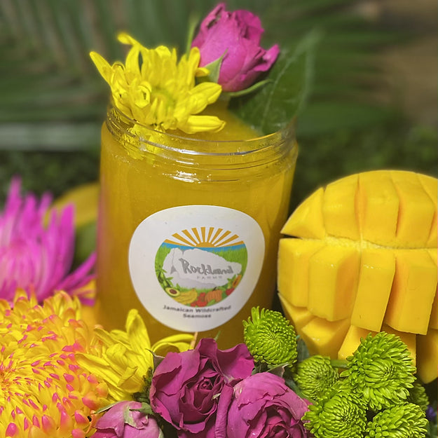 Sacral Chakra Seamoss Gel (Mango)