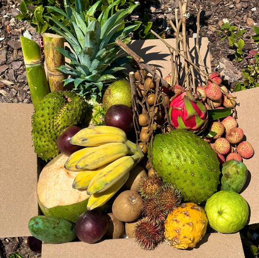 𝐃𝐞𝐥𝐮𝐱 𝐓𝐫𝐨𝐩𝐢𝐜𝐚𝐥 𝐅𝐫𝐮𝐢𝐭 𝐁𝐨𝐱