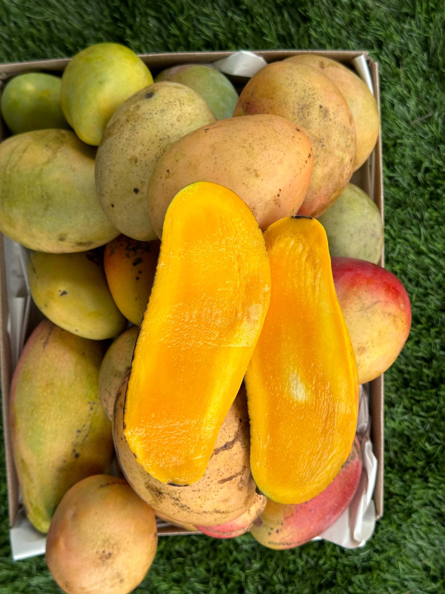 In season Mango