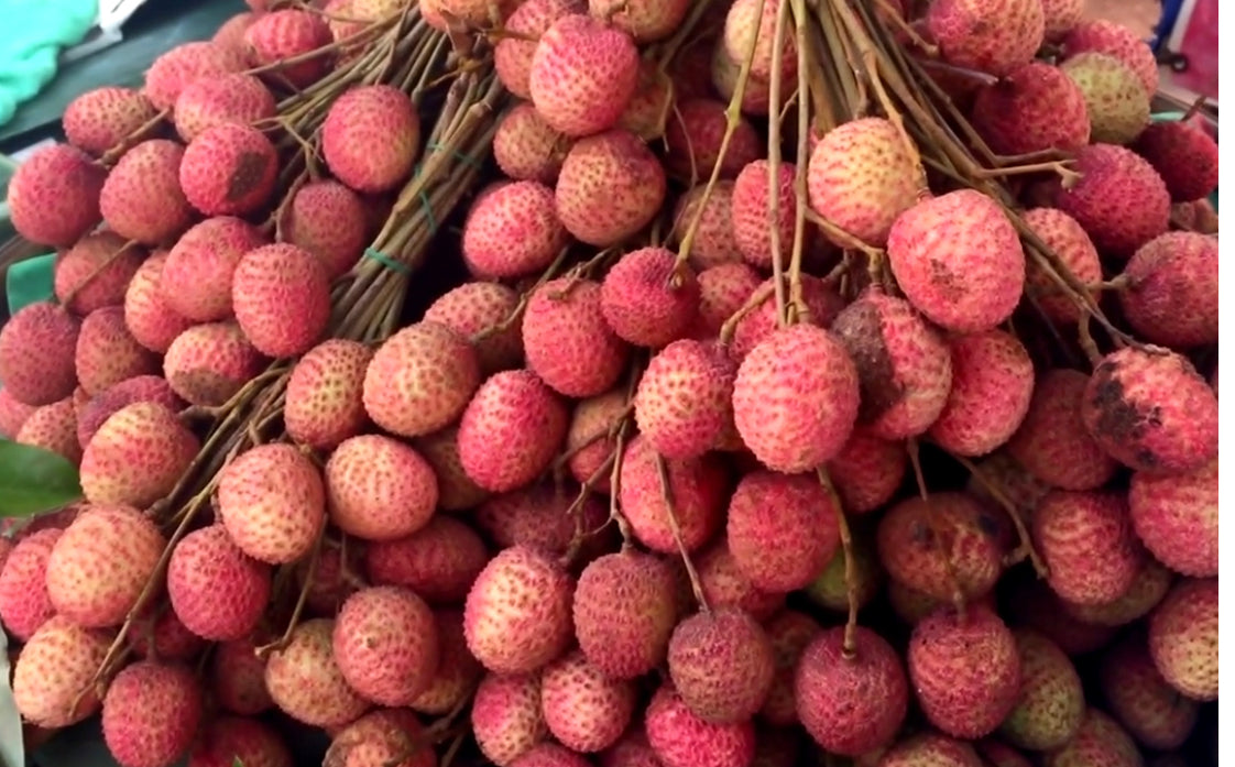 Lychee