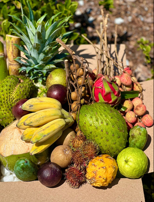 A Grade family starter | Medium Tropical Fruit Box