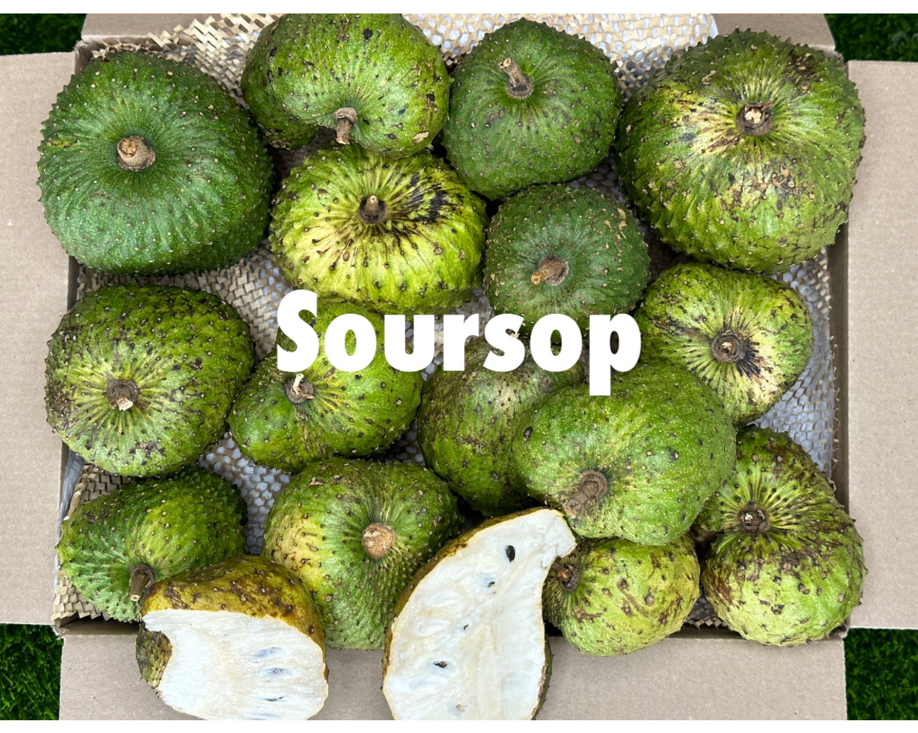 A grade Soursop