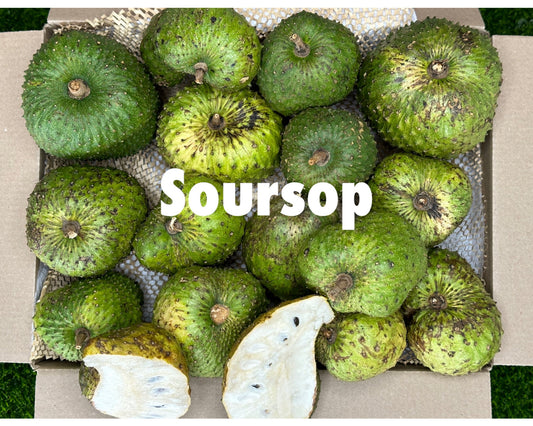 A grade Soursop