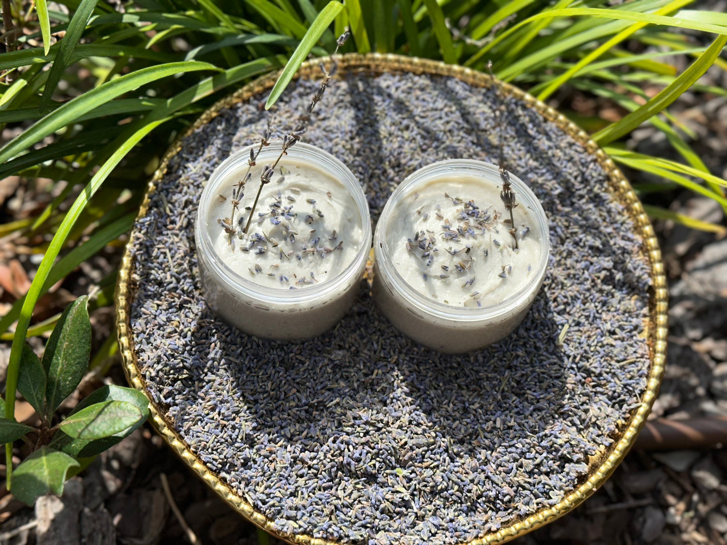 A+ Lavender skin moisturizer