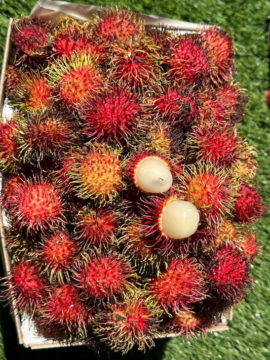 Rambutan Pre-Order