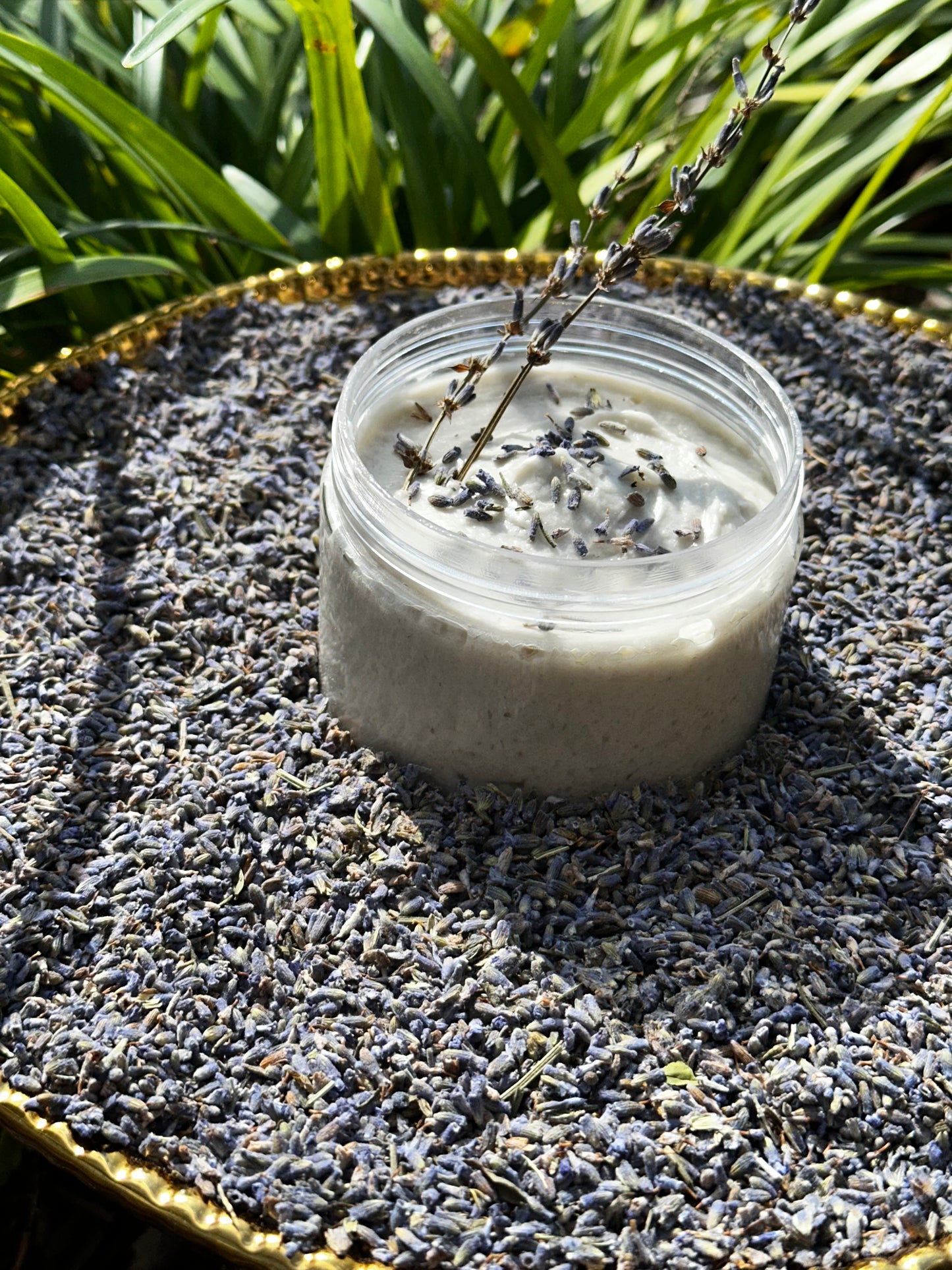 A+ Lavender skin moisturizer