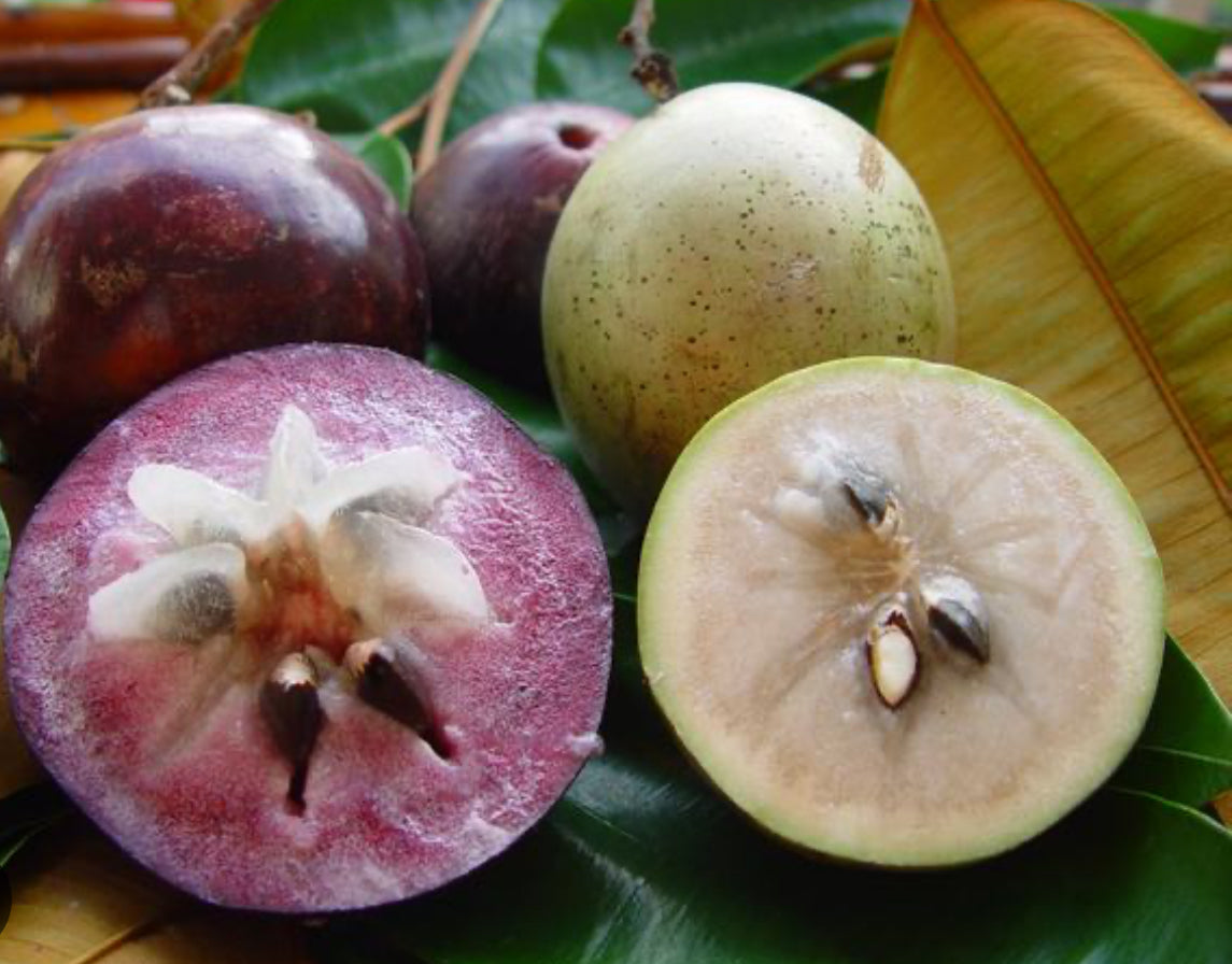 Star Apple