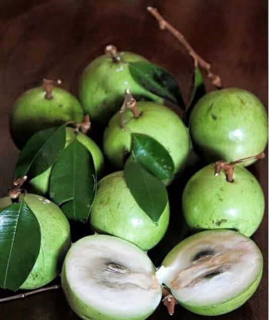Green star apple