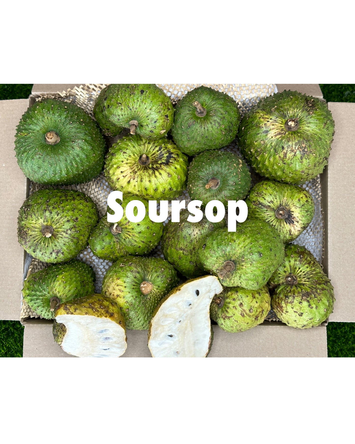 A+ Soursop box