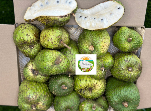 A+ soursop