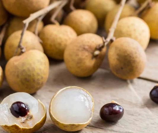 Longan