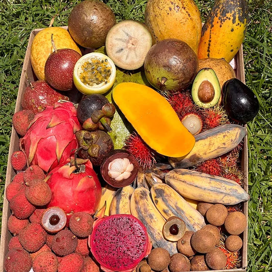 Small TROPICAL FRUIT BOX