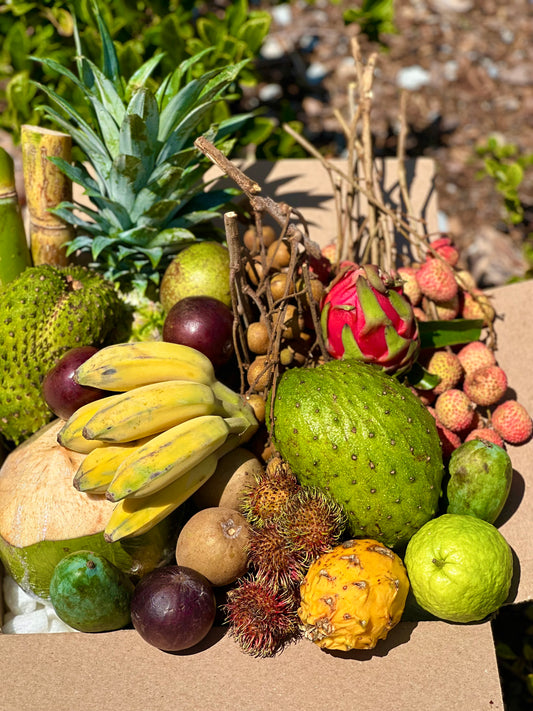 A+ Tropical Fruit Box