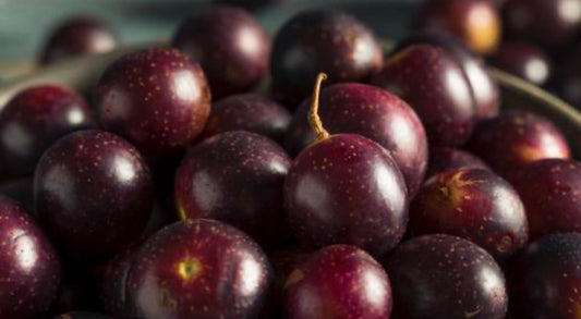 Muscadine grapes