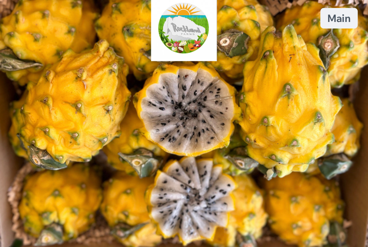 Yellow Dragon fruit