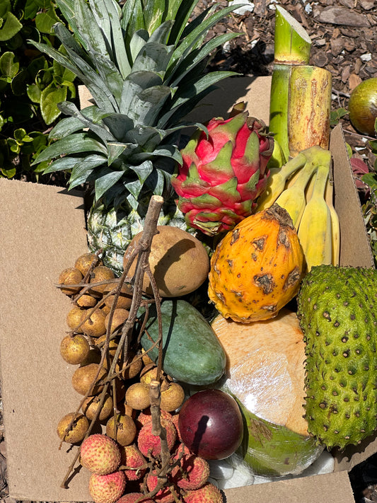 FREE TROPICAL FRUIT BOX Sampler