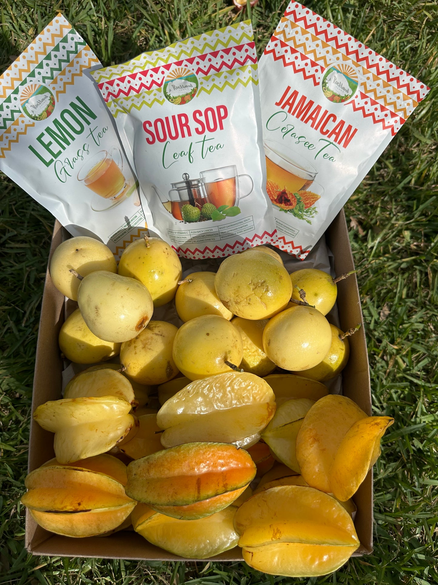 Tropical Fruit Box