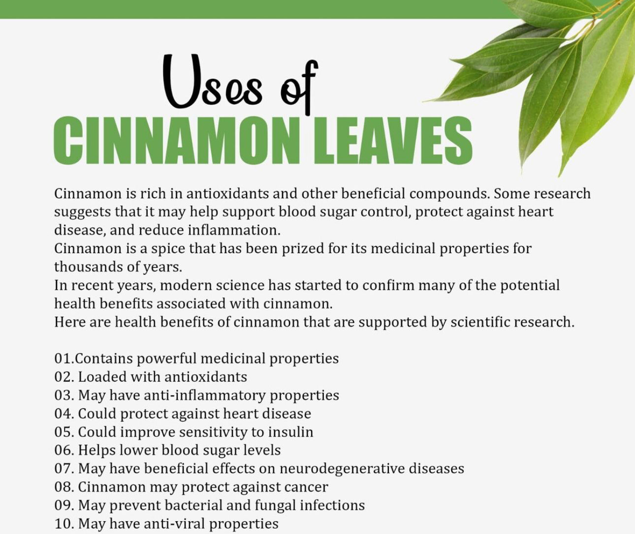 Cinnamon leaf