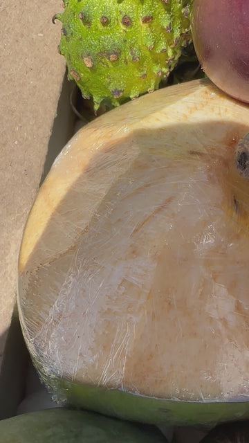 Tropical Fruit Box